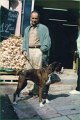 1993-07 - a Grasse - 3